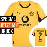 Puma BVB Trikot 2025/2026 Cup mit Nummern + Namen - Erw