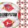 10er Derbystar Bundesliga Club Super Light 2025/2026 - 290gr Ballpaket