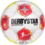 10er Derbystar Bundesliga Club Light 2025/2026 - 350gr Ballpaket - Gr. 5 (D-Jugend 11-12 Jahre)