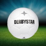 11er Derbystar Elite Ballpaket - Bundesliga Brillant APS