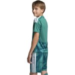 adidas DFB Torwart Trikot Kurzarm WM 2026 - Kinder
