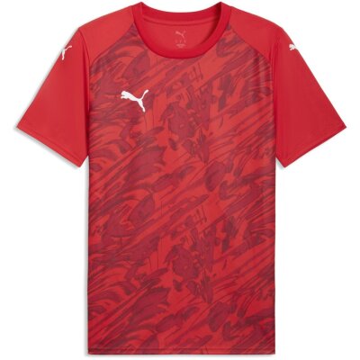 Puma teamFinal 26 Graphic Trikot Jersey