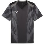 Puma teamFinal 26 Graphic+ Trikot Jersey