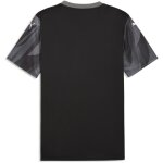 Puma teamFinal 26 Graphic+ Trikot Jersey