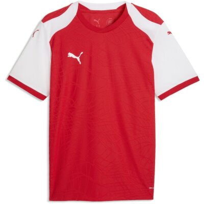 Puma teamFinal 26 Knit Jersey