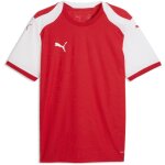 Puma teamFinal 26 Knit Jersey