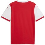 Puma teamFinal 26 Knit Jersey
