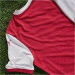 Puma teamFinal 26 Knit Jersey
