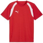 Puma teamFinal 26 Training Jersey
