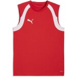 Puma teamFinal 26 Training Jersey SL