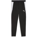 Puma teamFinal 26 Trainingshose