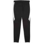 Puma teamFinal 26 Trainingshose