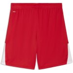 Puma teamLiga 26 Short