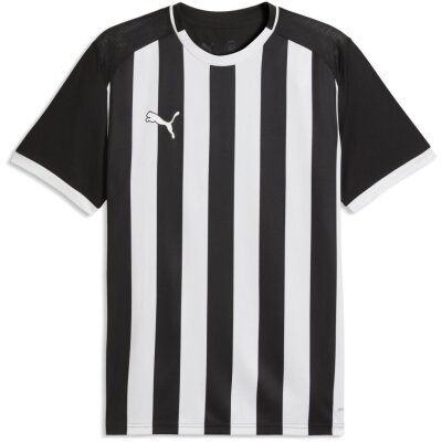 Puma teamLiga 26 Striped Trikot Jersey
