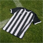 Puma teamLiga 26 Striped Trikot Jersey