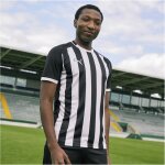 Puma teamLiga 26 Striped Trikot Jersey