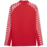 Puma teamLiga 26 Training 1/4 Zip Top