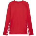 Puma teamLiga 26 Training Sweat