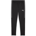 Puma teamLiga 26 Trainingshose