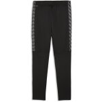 Puma teamLiga 26 Trainingshose