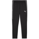Puma teamLiga 26 Trainingshose Plus