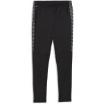 Puma teamLiga 26 Trainingshose Plus