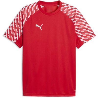 Puma teamLiga 26 Trikot Jersey