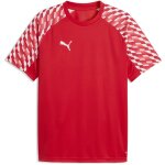 Puma teamLiga 26 Trikot Jersey