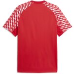 Puma teamLiga 26 Trikot Jersey