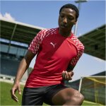 Puma teamLiga 26 Trikot Jersey