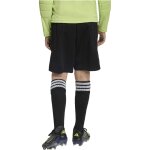 adidas Tierro 26 Goalkeeper Short
