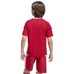 adidas Tiro 26 Competition Match Trikot Jersey