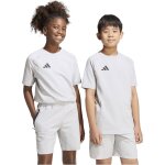 adidas Tiro 26 Travel Tee