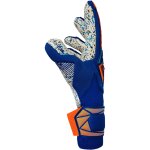 Reusch Attrakt Freegel Fusion Goaliator