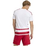 adidas Hooped 26 Trikotsatz