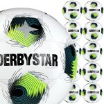 10er Derbystar Brillant TT DB Ballpaket Rasen+Kunstrasen