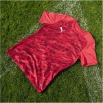 Puma teamFinal 26 Graphic Trikotsatz