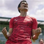 Puma teamFinal 26 Graphic Trikotsatz