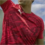 Puma teamFinal 26 Graphic Trikotsatz