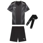 Puma teamFinal 26 Graphic+ Trikotsatz