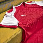Puma teamFinal 26 Knit Trikotsatz