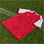 Puma teamFinal 26 Knit Trikotsatz