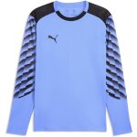 Puma teamLiga 26 GK Torwart Trikot Set Langarm