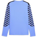 Puma teamLiga 26 GK Torwart Trikot Set Langarm