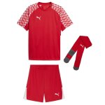 Puma teamLiga 26 Kinder Trikotsatz