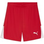 Puma teamLiga 26 Kinder Trikotsatz