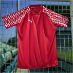 Puma teamLiga 26 Trikotsatz