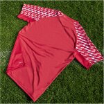 Puma teamLiga 26 Trikotsatz