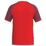 Erima Wings Jersey Shortsleeve