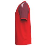 Erima Wings Jersey Shortsleeve